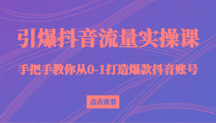 引爆抖音流量实操课，手把手教你从0-1打造爆款抖音账号(27节课)-云创网