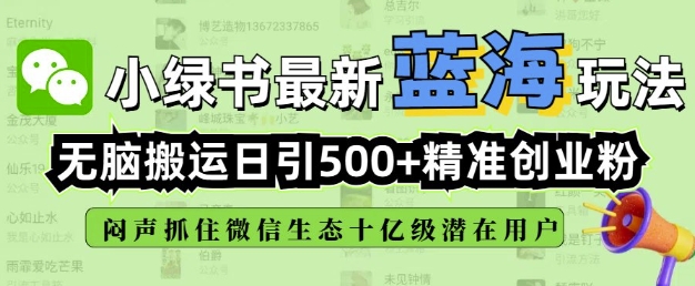 小绿书无脑搬运引流，全自动日引500精准创业粉，微信生态内又一个闷声发财的机会-云创网