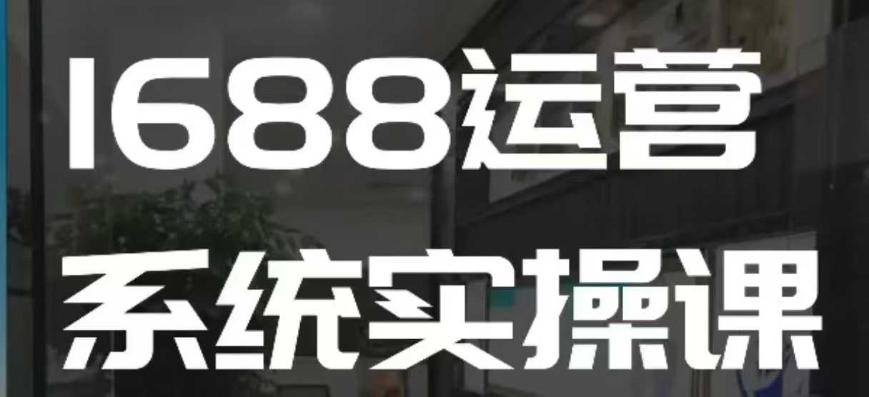 1688高阶运营系统实操课，快速掌握1688店铺运营的核心玩法-云创网