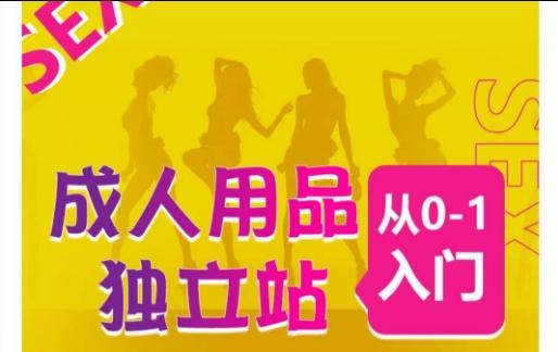 成人用品独立站从0-1入门，成品独立站运营全流程教学，七大好卖成品独立站推荐-云创网