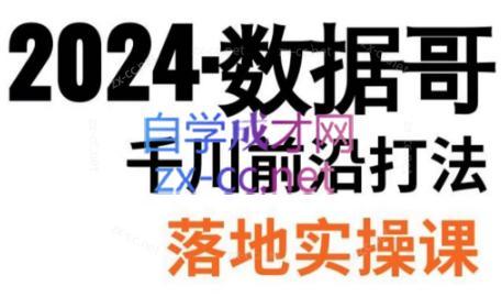 数据哥·2024年千川前沿打法落地实操课-云创网