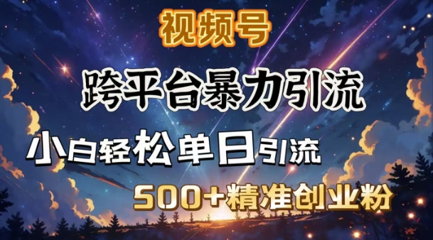 跨平台暴力引流，私域完美闭环，日引500+精准创业粉-云创网