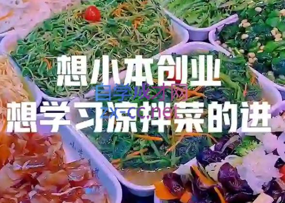 李记·精品凉拌菜系列热卤系列教程-云创网