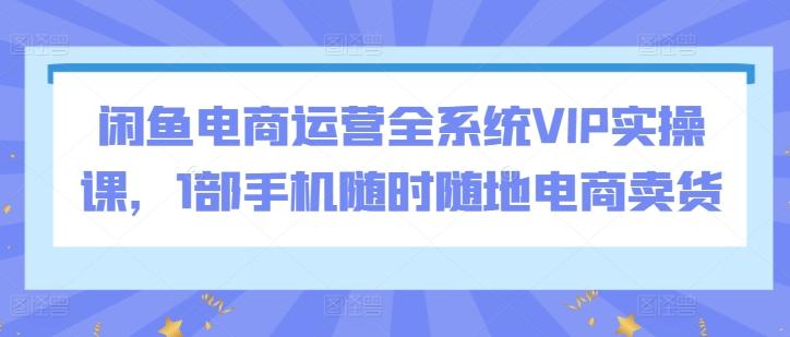 闲鱼电商运营全系统VIP实操课，1部手机随时随地电商卖货-云创网